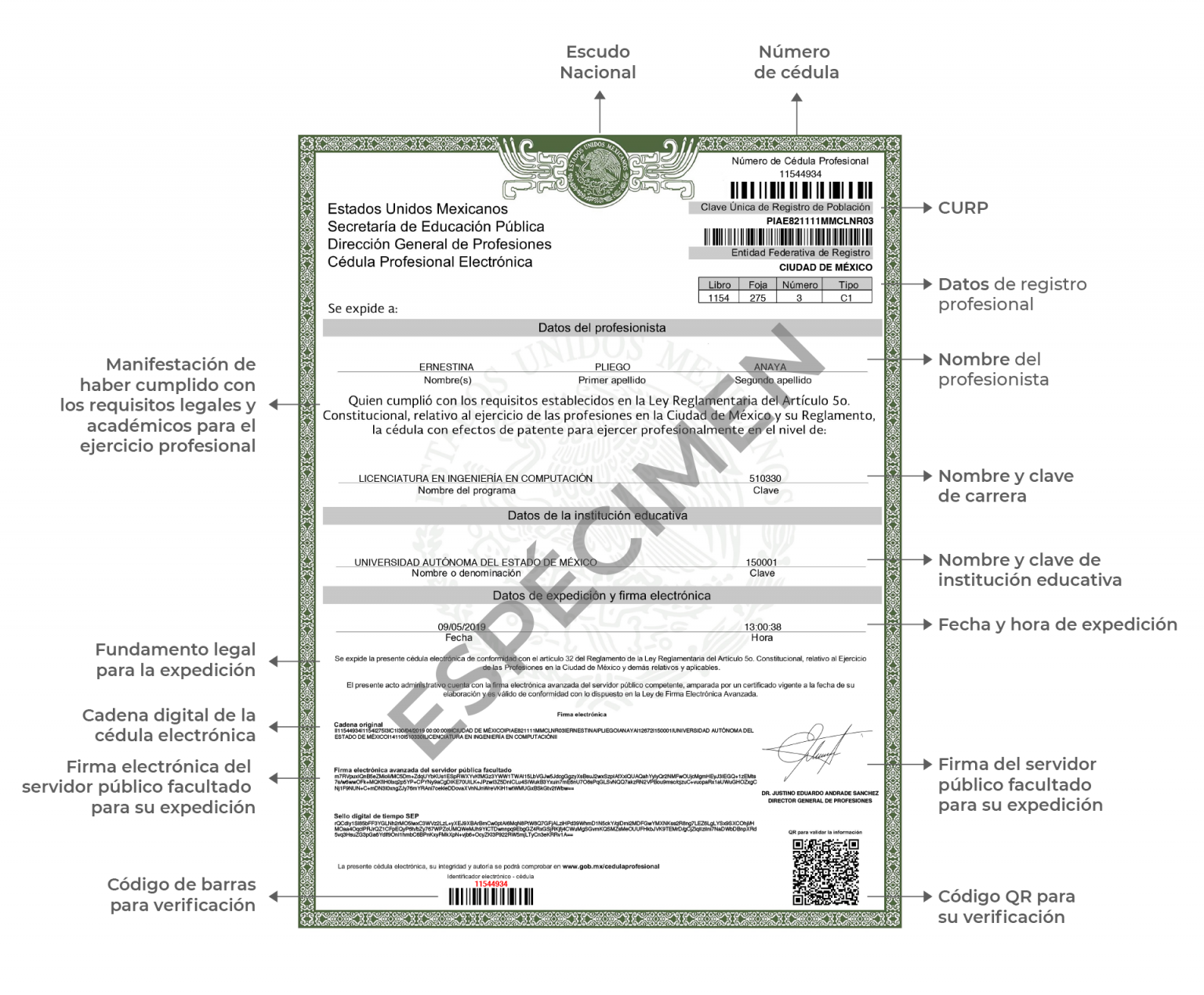 ¿cómo Sacar La Cédula Electrónica Trámites Méxicoemk 5582